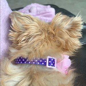 Meet your Posher, Jenny